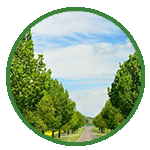 Villa Plots for sale in Kundrathur, Chennai | Land for sale in Kundrathur- Crystal Crown by Urban Tree